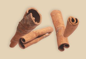 Cinnamon stick